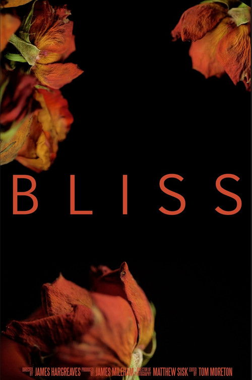 Bliss Poster