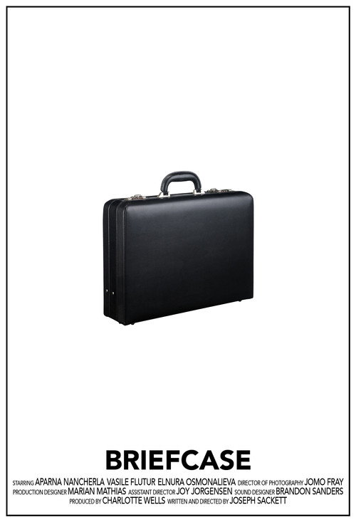Briefcase Poster
