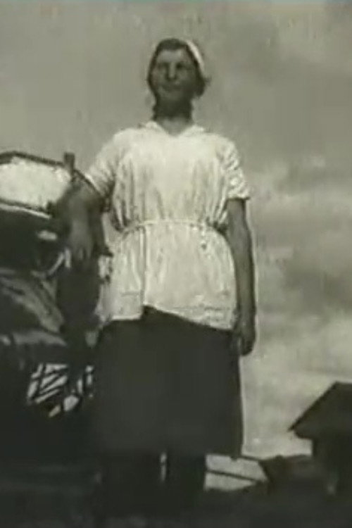 Link of Victory Poster