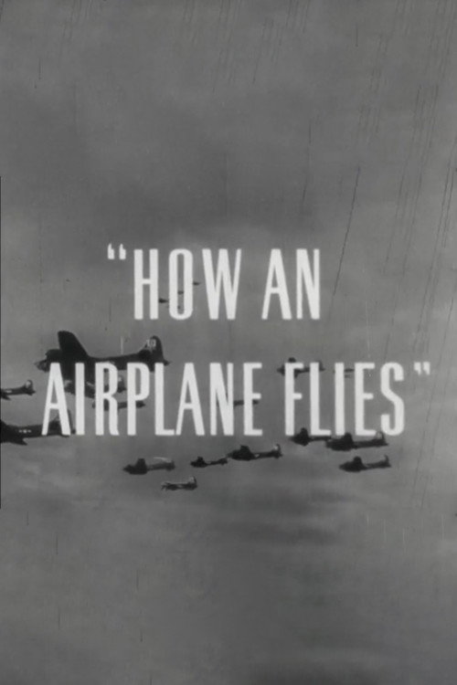 How An Airplane Flies Poster