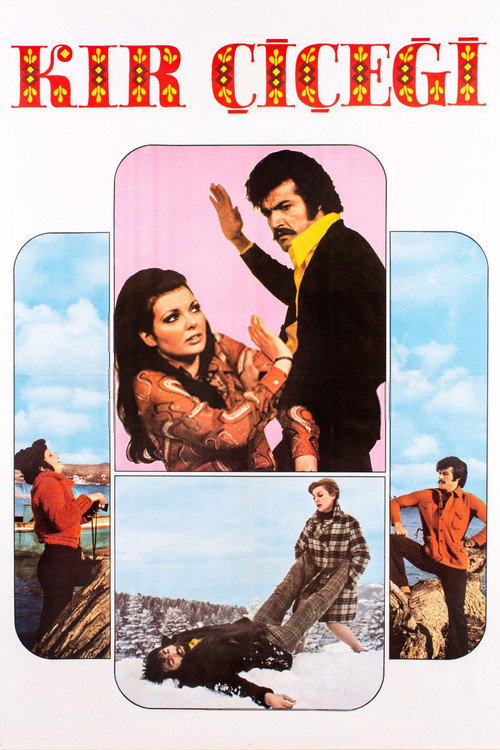 Kır Çiçeği Poster