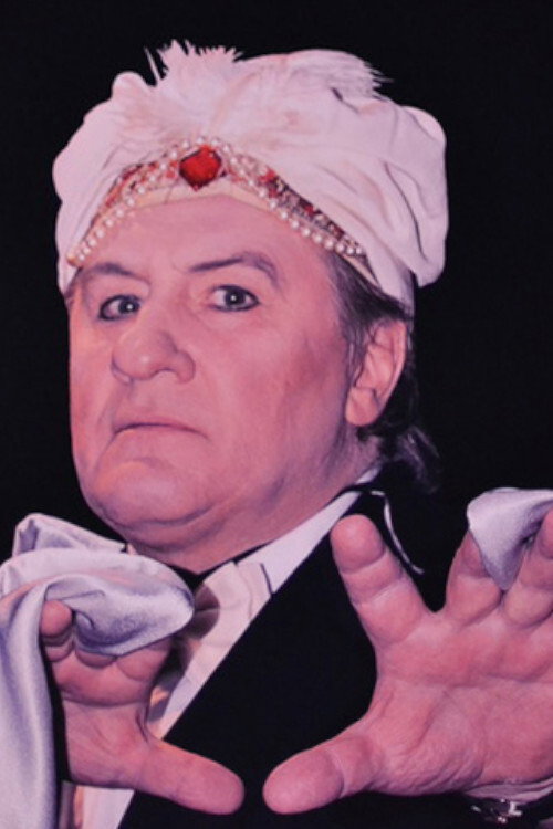 Le Magicien et les Siamois Poster