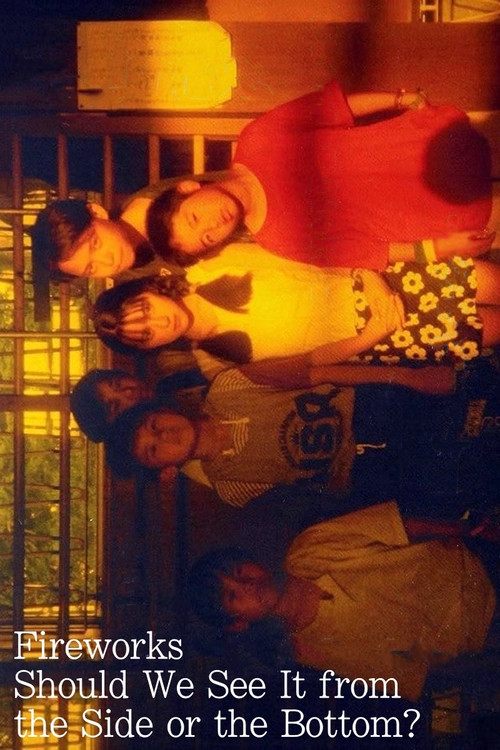 Fireworks, Should We See It from the Side or the Bottom? Poster