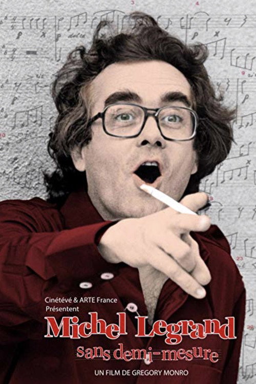Michel Legrand, sans demi-mesure Poster