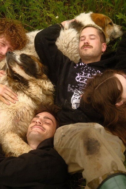 Animal Bridge - Every soul needs a home Poster