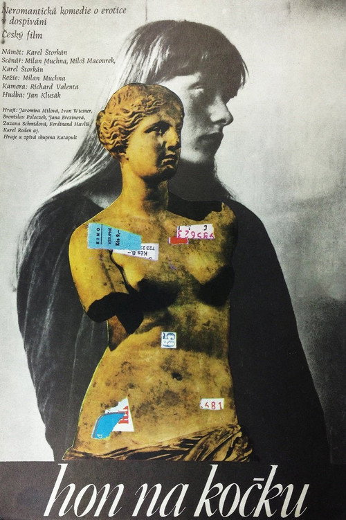 Hon na kočku Poster