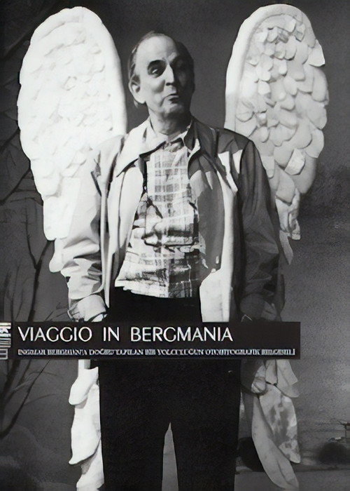 Viaggio in Bergmania Poster