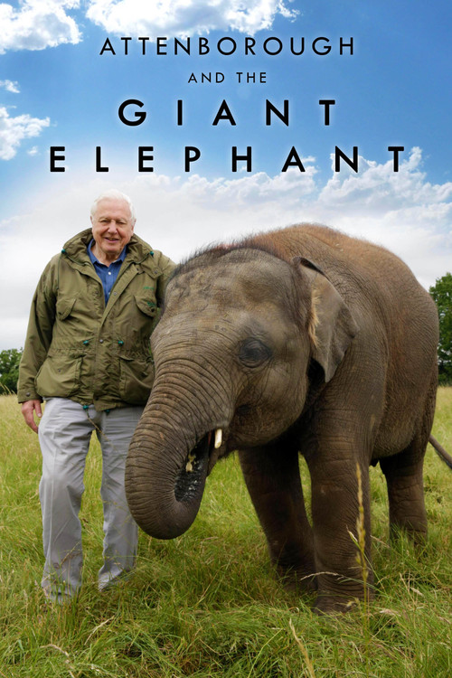 Attenborough and the Giant Elephant Poster