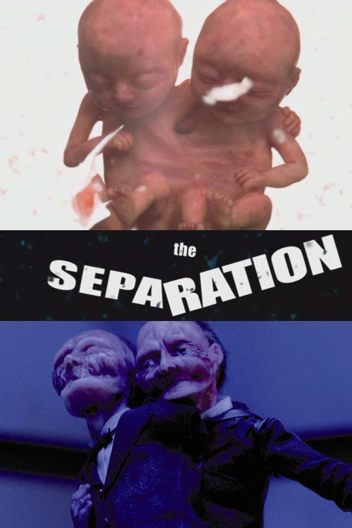 The Separation Poster