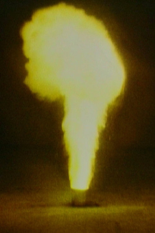 Fire Poster
