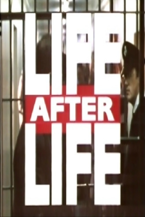 Life After Life Poster