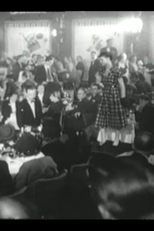 Modeopvisning - Kjoler Poster