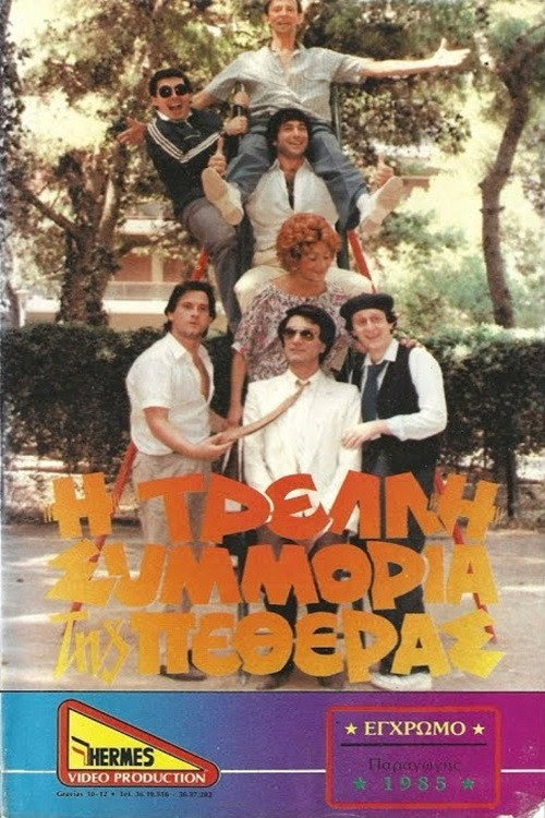 Η τρελλή συμμορία της πεθεράς Poster