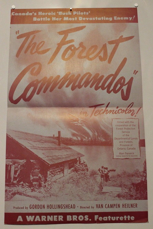 The Forest Commandos Poster