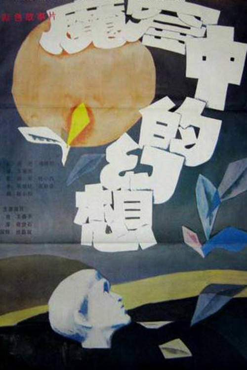 Visions from a Jail Cell Poster