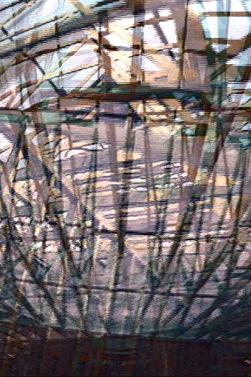 Aperspectival House Variation Poster