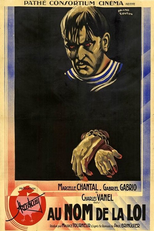 In the Name of the Law Poster