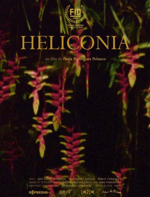 Heliconia Poster