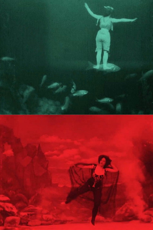 The Dancer's Dream Poster