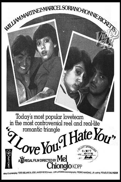 I Love You, I Hate You Poster