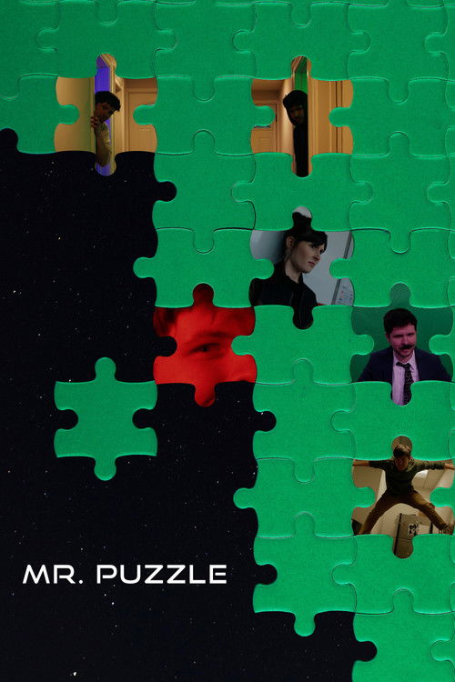 Mr. Puzzle Poster