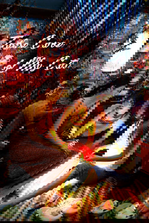 Take Care of My Cat Poster