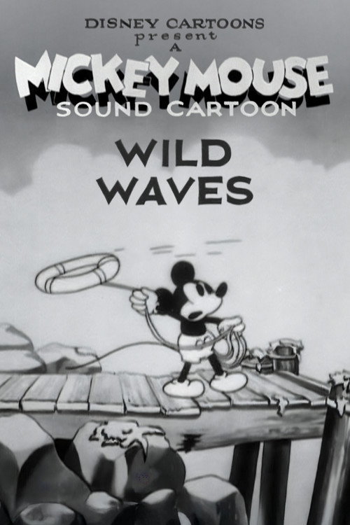 Wild Waves Poster
