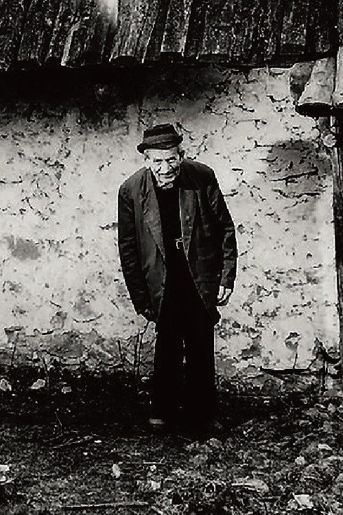 Meters of Life Poster