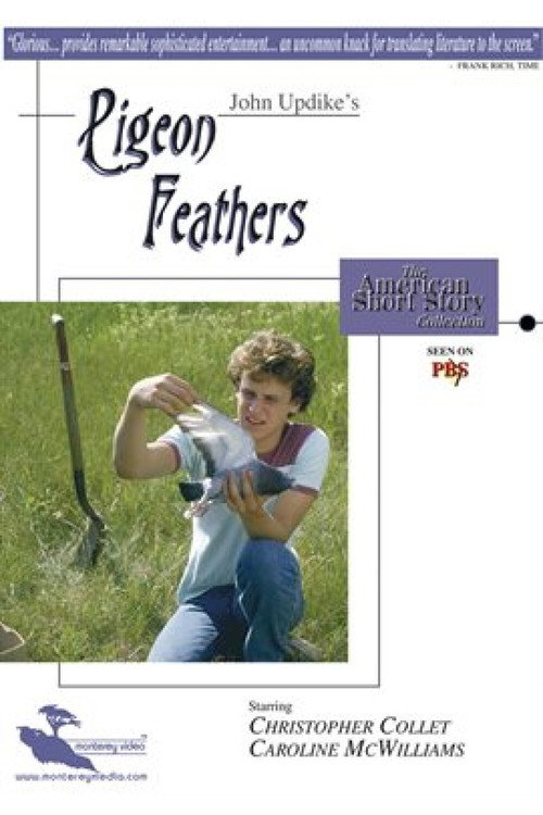 Pigeon Feathers Poster