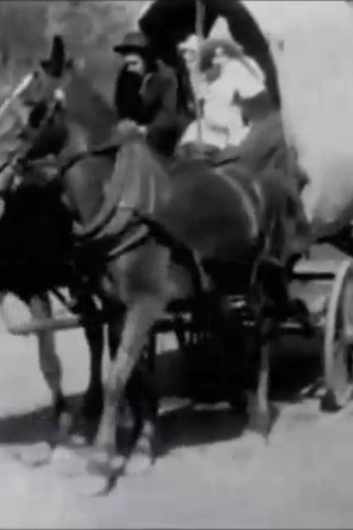 The Zulu's Heart Poster