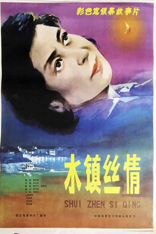 水镇丝情 Poster