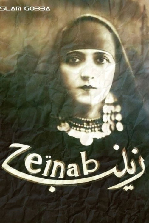 Zeinab Poster