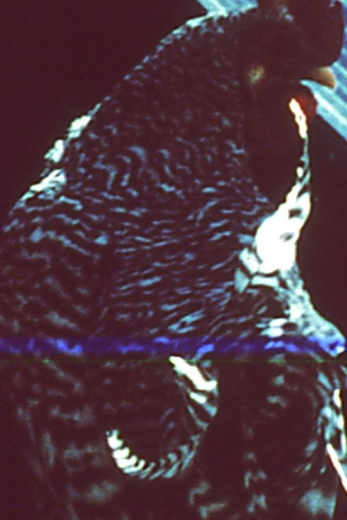 Otherwise Unexplained Fires Poster