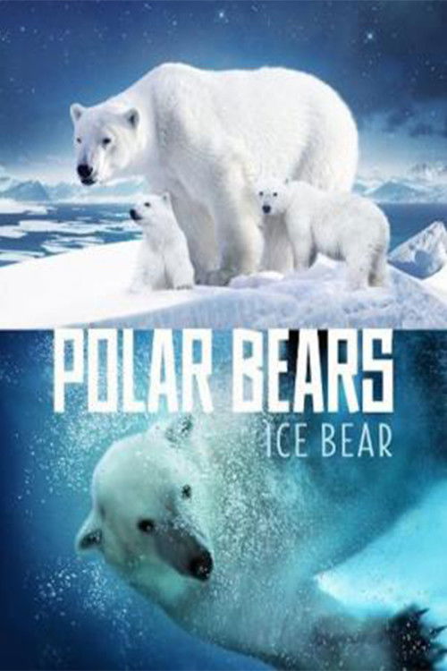 Polar Bears: Ice Bear Poster