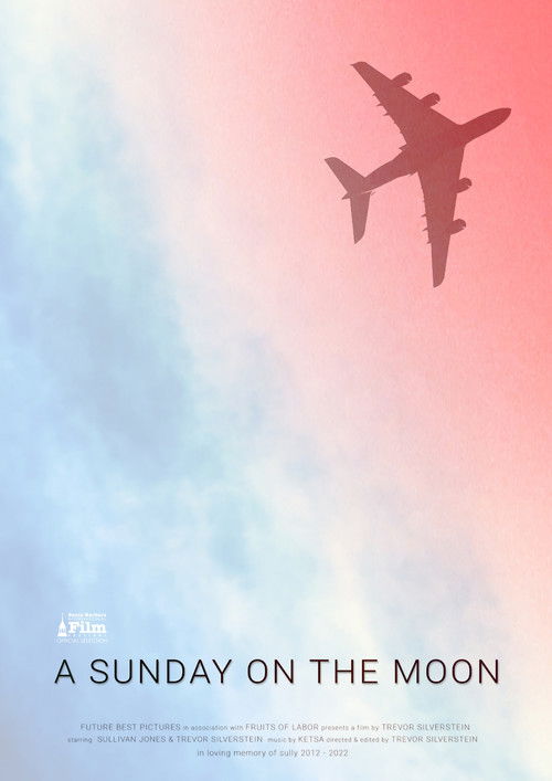 A Sunday on the Moon Poster