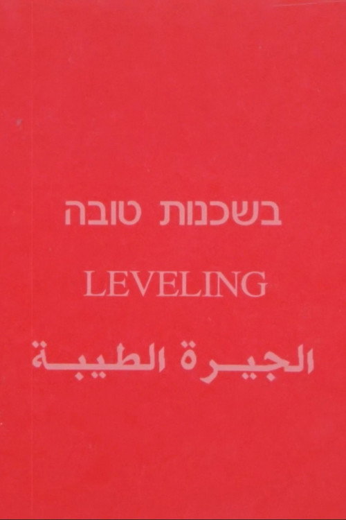 Leveling Poster