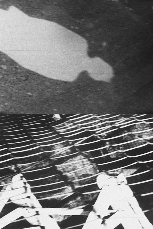 Shadow Poster