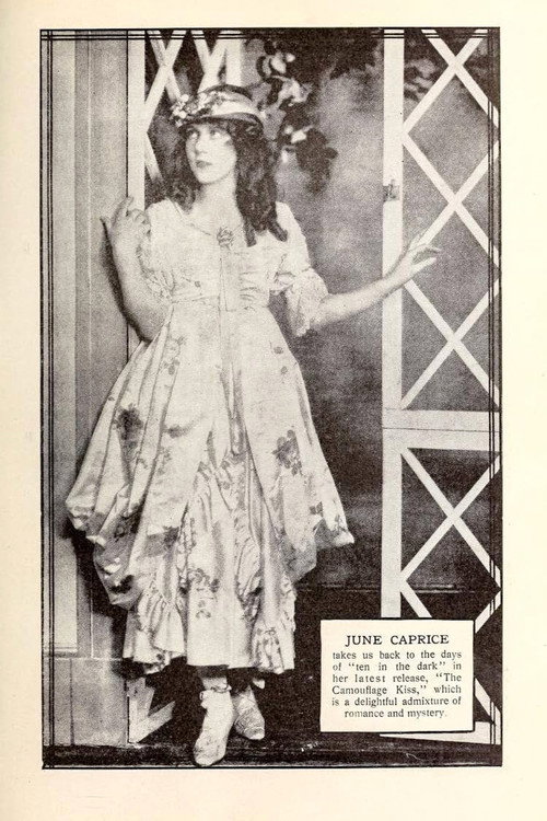 A Camouflage Kiss Poster