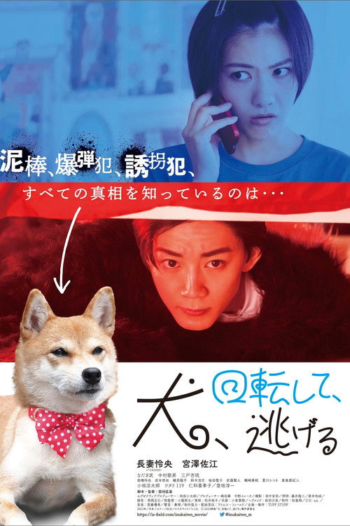 Dog Turns and Runs Away Poster