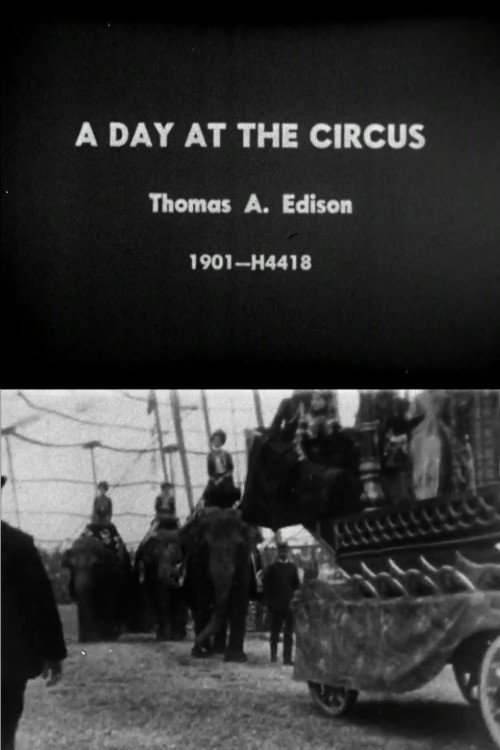 Day at the Circus Poster
