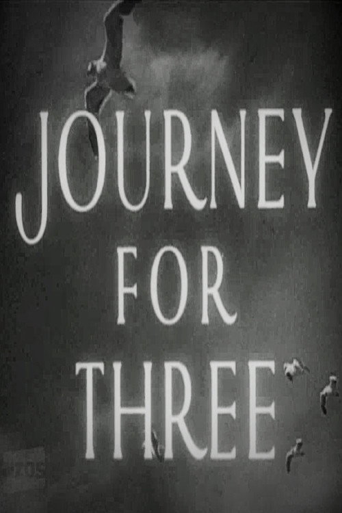 Journey for Three Poster