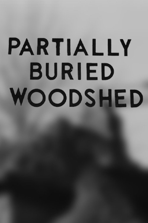 Partially Buried Woodshed Poster