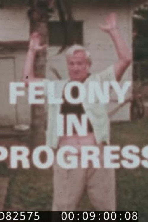 Shoot/Don't Shoot, Part 1 Poster