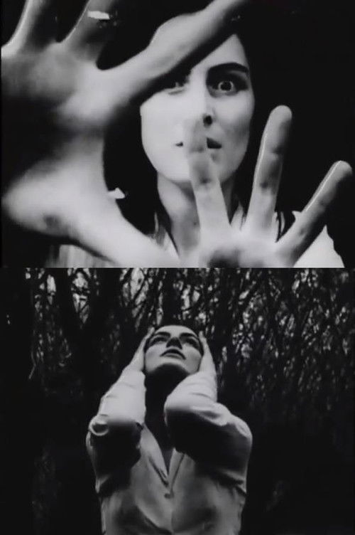 Hands of Purple Distances Poster