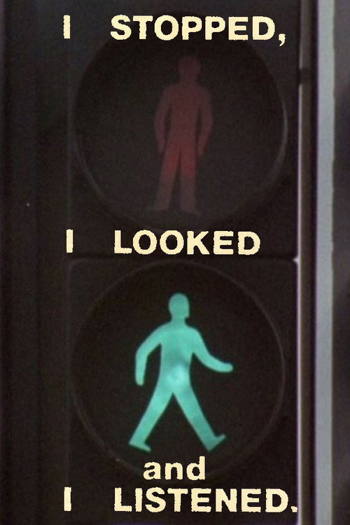 I Stopped, I Looked and I Listened Poster