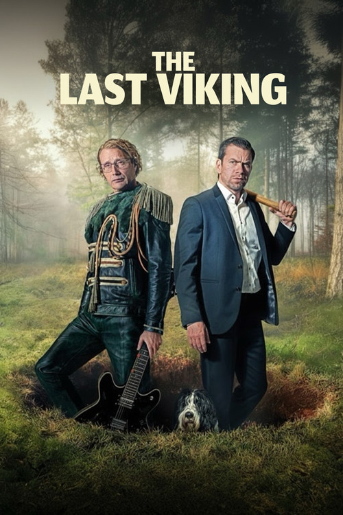 The Last Viking Poster
