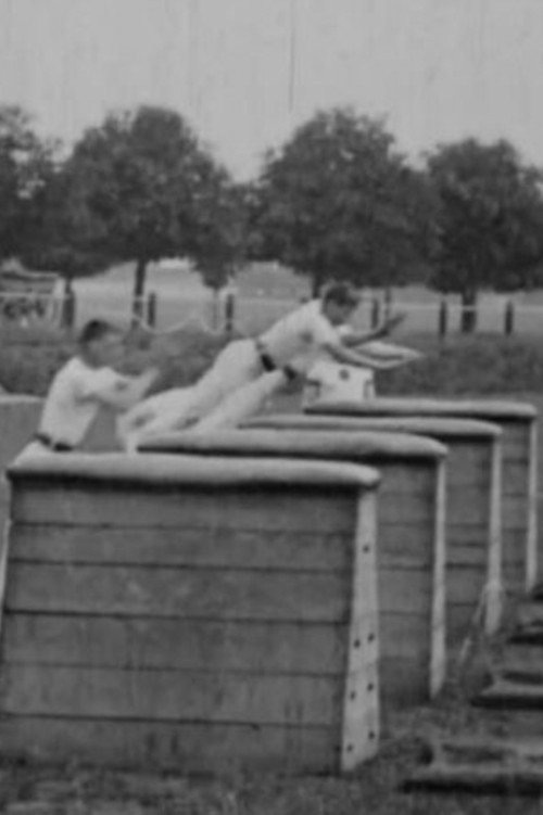 Vaulting Horse Display Poster