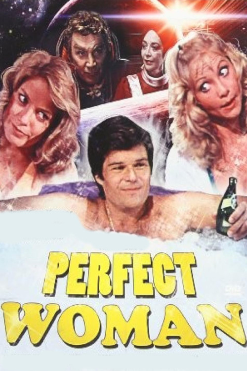The Perfect Woman Poster