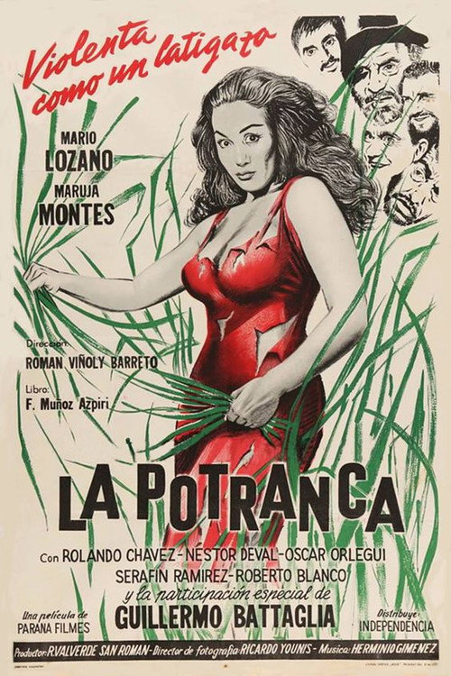 La potranca Poster