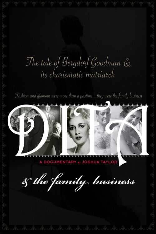 Dita and the Family Business Poster